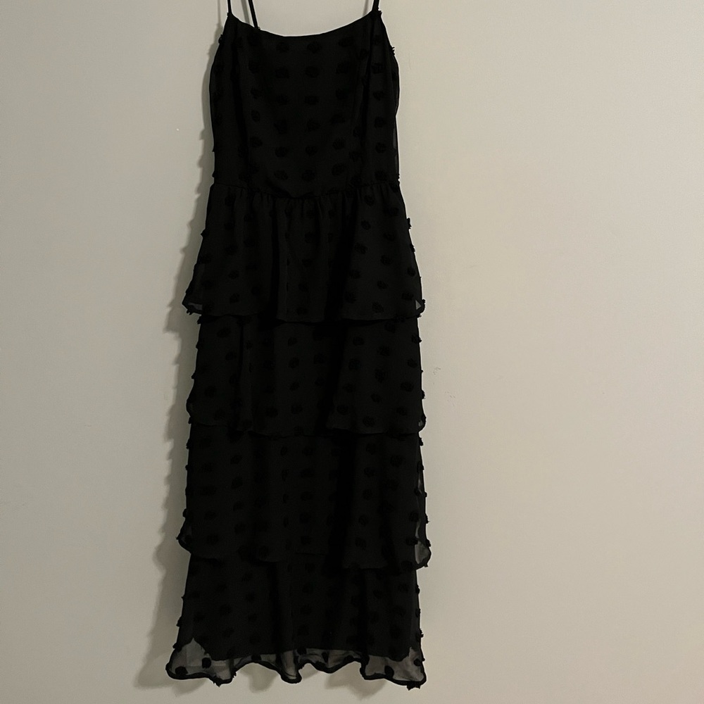 NWT francesca’s maxi dress